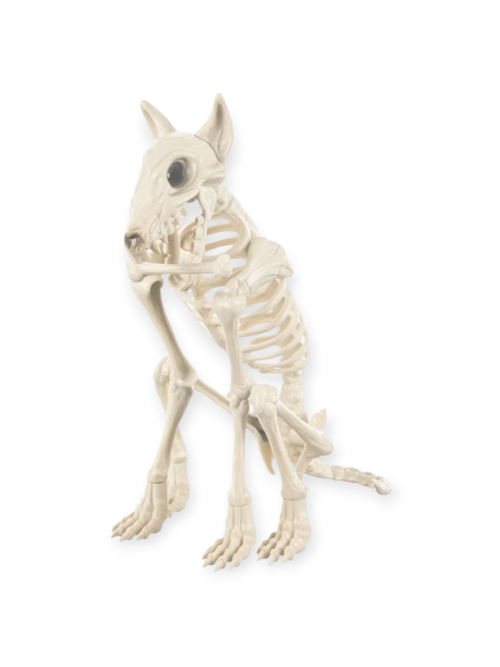 Dog Skeleton Halloween Decor 7-Inch Sitting Skeleton Dog w/Chewing Bone